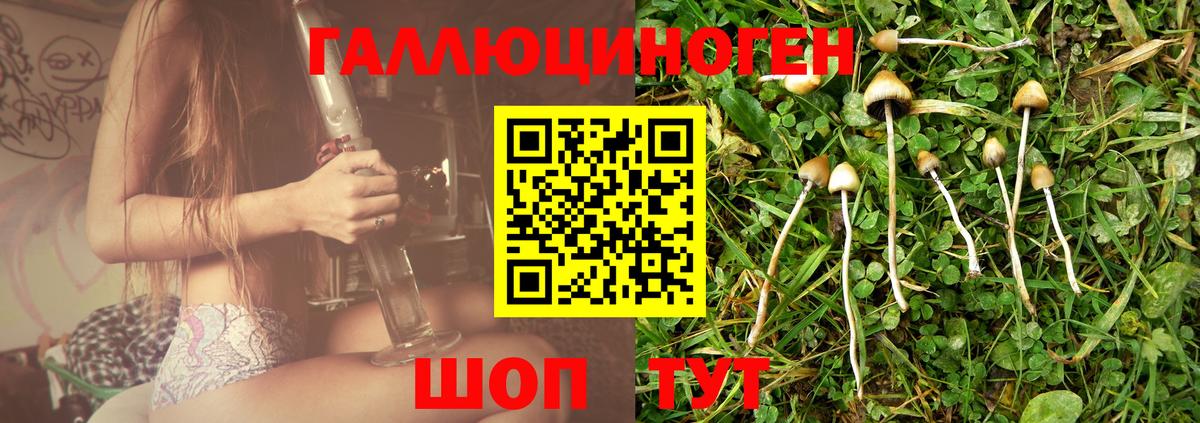 Галлюциногенные грибы Cubensis Верхняя Салда